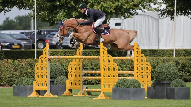 Excellent Sunshine Z knap tweede achter Europees kampioen Richard Vogel