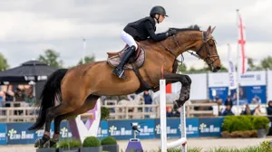 Van Dijck wint in Zuidwolde, Belgen stapelen podiumplaatsen op