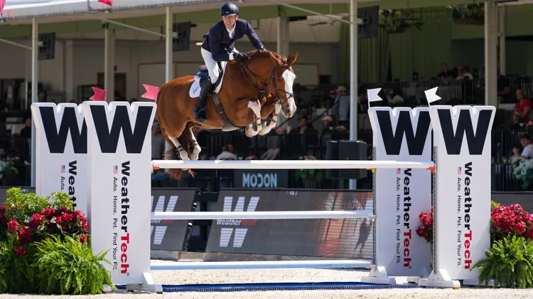 Hier, Alex Matz et Junior Kannan ont remporté leur premier succès international.