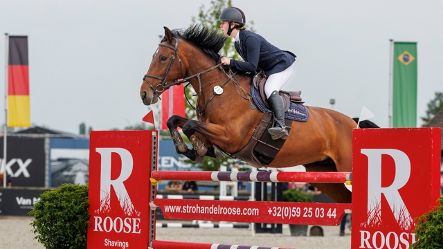 Roos Notele