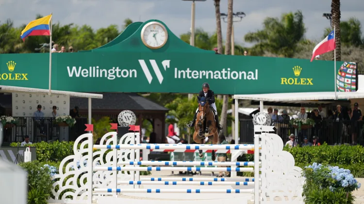 Colibelle Hero Z  is op dreef in Wellington