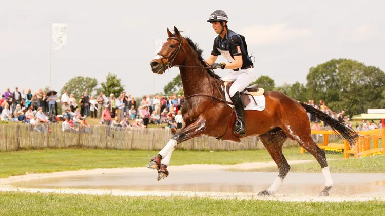 Clarke Johnstone a décroché sa première médaille en grand championnat (le bronze par équipes) aux Mondiaux de Lexington, en 2010, accompagné d’Orient Express.