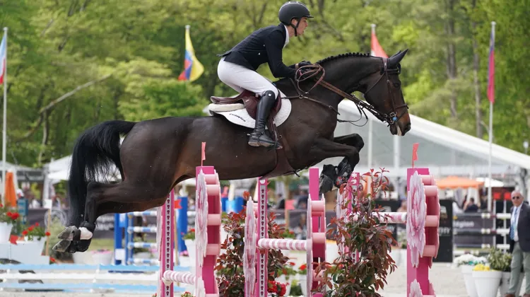 Seppe Wouters à remporté aujourd'hui le premier Grand Prix de sa jument Libelle Asborne.