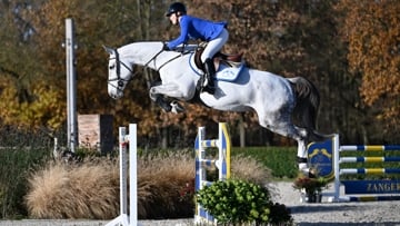 Zangersheide clôture la saison des fêtes en beauté, en présentant une collection de futurs stars du saut d’obstacles!