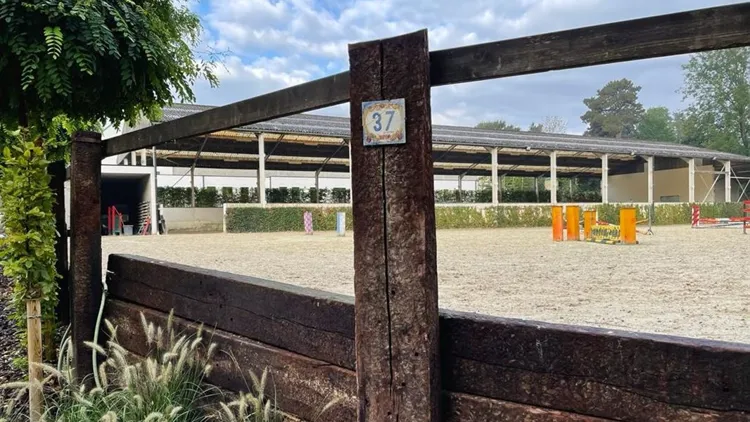 Deze eigendom biedt een unieke combinatie van wonen en paardenfaciliteiten, temidden van het Meerdaalbos zodat u lange wandelingen kan maken.