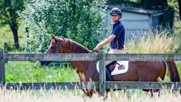 Focus sur le système digestif du cheval