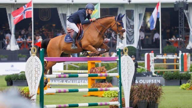 Wilm Vermeir