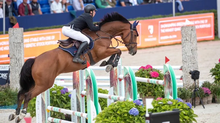 De Brabandere houdt Belgische eer hoog in 1m50-rubriek Ocala