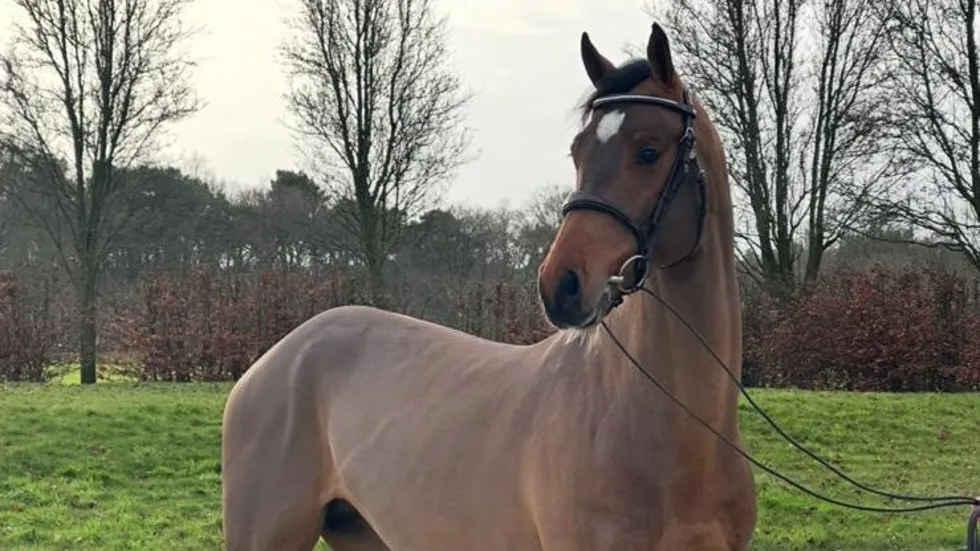 Rocco Q schittert op Sunshine Tour en verhuist naar Doron Kuipers