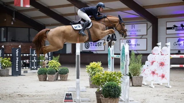 Titicaca van den Bosdam maakt indruk met overwinning na foutloze week