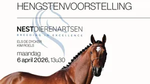 NEST Dierenartsen verwelkomt jullie op inspirerende hengstenvoorstelling