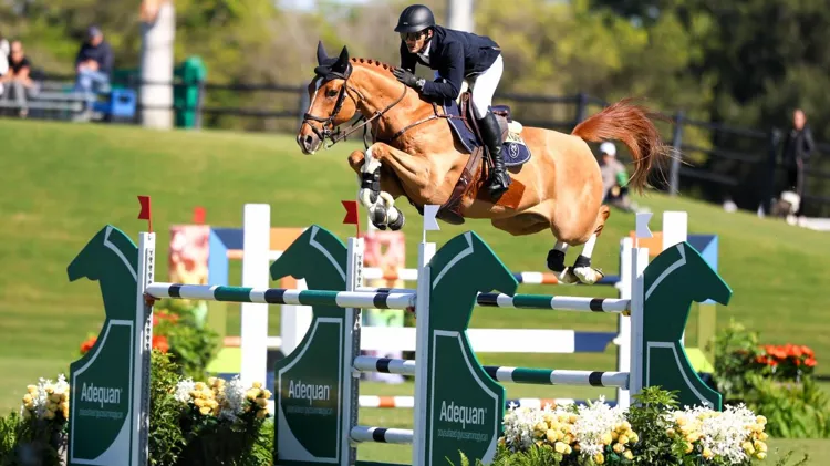 Winst voor Crack de Nyze Z