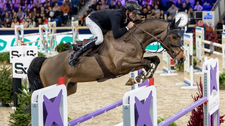 Anthony Wellens pakt overtuigende zege in 1m40-rubriek op Flanders Horse Expo