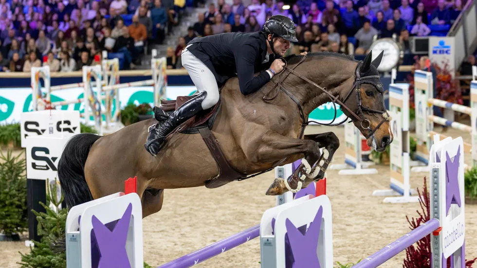 Anthony Wellens pakt overtuigende zege in 1m40-rubriek op Flanders Horse Expo