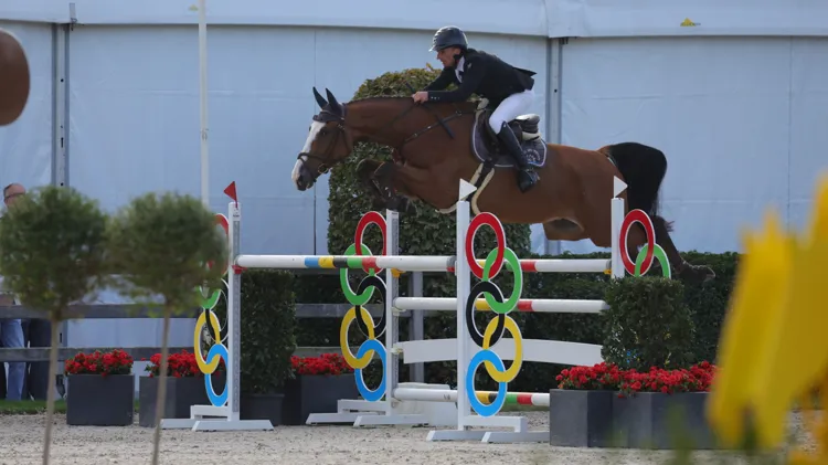 Noxx van de Molen Z was vorig seizoen succesvol met Nico Baerts, eveneens ruiter voor de stallen van Kristof Engelen