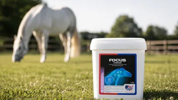 Focus Powder, le complément alimentaire apaisant d'Equine America à base d'Ashwagandha et de Gattilier, aide les chevaux à rester calmes et concentrés en période de stress, avec le soutien de vétérinaires et de cavaliers internationaux