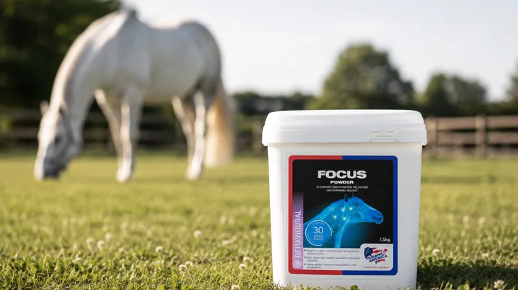 Focus Powder, le complément alimentaire apaisant d'Equine America à base d'Ashwagandha et de Gattilier, aide les chevaux à rester calmes et concentrés en période de stress, avec le soutien de vétérinaires et de cavaliers internationaux