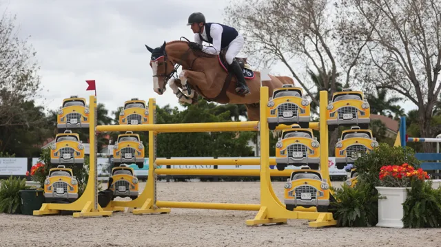 Zilver voor Excellent Sunshine Z in sterke Youngster Tour-finale  
