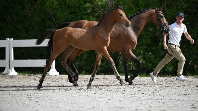 Dorie Proud Girl Z