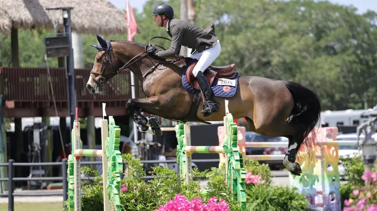 Ici à Wellington, Ginger-Blue a offert une troisième victoire à Ben Maher à Windsor.