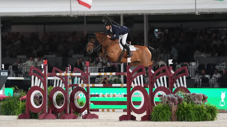 McLain Ward et High Star Hero ont remporté le Grand Prix 5* de Tryon hier soir.