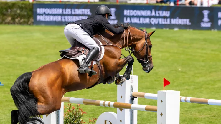 Riesling van ’t Roosakker en Belgische paarden kleuren top-10 La Baule  