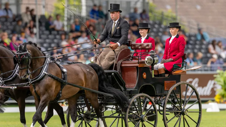 Dries Degrieck schittert op eerste dressuurdag