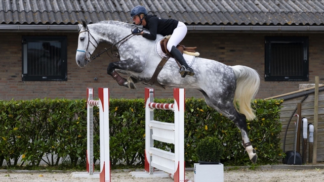 Calidoss was de veilingtopper