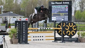 Undercover de Walput