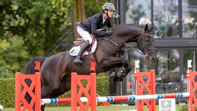 Qannando B&V kennen we nog van onder het zadel van Gilles Thomas