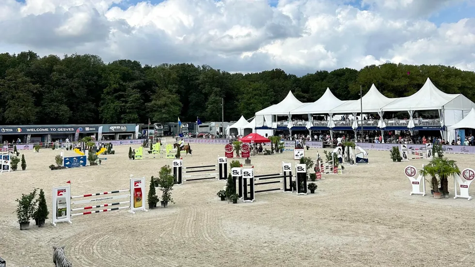 Aftellen naar de Belgische kampioenschappen voor jonge paarden