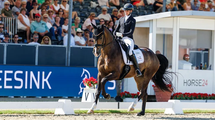 Monté par Kira Laura Soddemann, Einfach Imposant B a été sacré champion du monde des cinq ans à Verden.