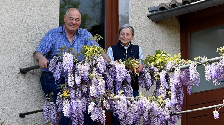 Depuis plus de quarante ans, Catherine et Denis Reyes font vivre l’élevage du Lô, établi en Auvergne-Rhône-Alpes.