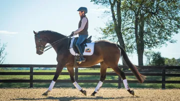 Cavalor dévoile Optrimal X, un programme qui ajuste précisément l'alimentation des chevaux de sport selon leurs besoins digestifs, énergétiques et nutritionnels réels.
