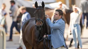 De Cleene schittert met winst in de 1m35 Grote Prijs