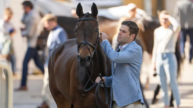 De Cleene schittert met winst in de 1m35 Grote Prijs