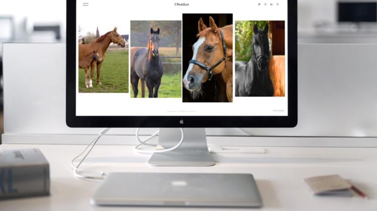 La filière équine à l’heure du numérique; Partie 3: La commercialisation de chevaux en ligne
