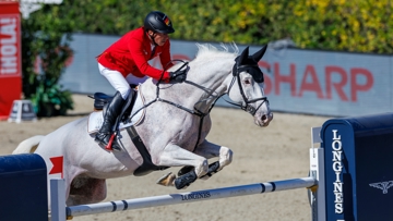 Monté par l’Allemand Hans-Dieter Dreher, Elysium, ici à la finale des Coupes des nations Longines de Barcelone, est le meilleur produit étranger de Quamikase des Forêts.