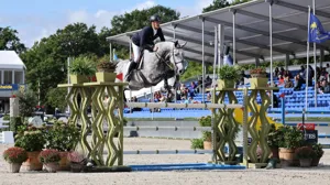 Diamond Quality Z met Niels Bruynseels