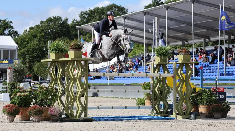 Diamond Quality Z met Niels Bruynseels