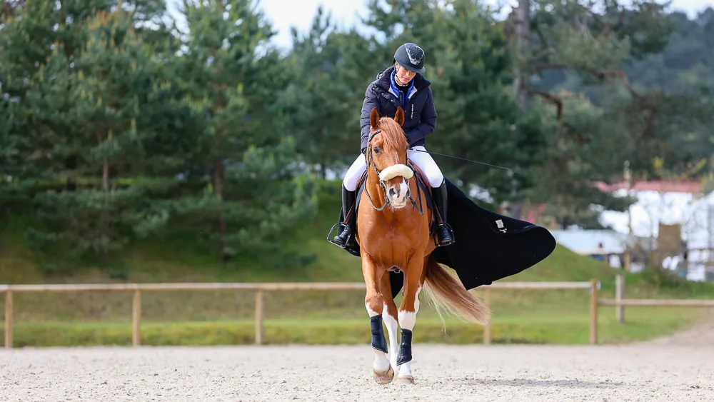 Trente-cinq clichés pour prolonger le Printemps des sports équestres de Fontainebleau