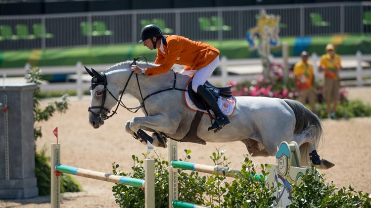 Après une fabuleuse carrière sportive sous la selle du Néerlandais Jur Vrieling, Quamikase des Forêts, ici aux Jeux olympiques de Rio, a fait sensation en tant qu’étalon.