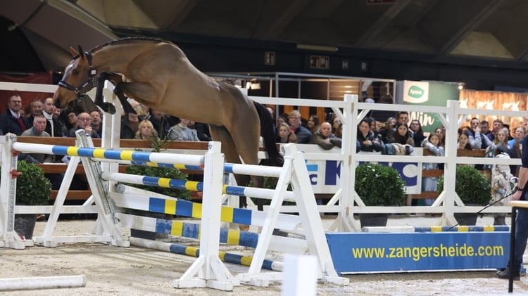 Camille du Maillet Z wint de finale van het vrijspringen