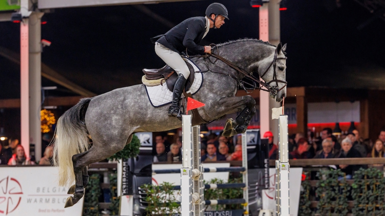 Aftellen naar de tweede manche van de Equilannoo Belgian Stallion Competition