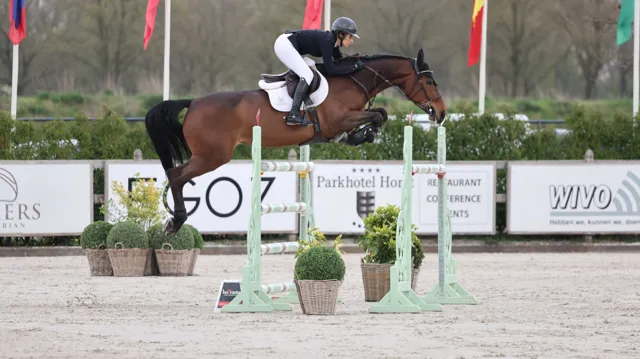 Victory Music Z triomfeert, sterke Belgische fokproducten in top acht