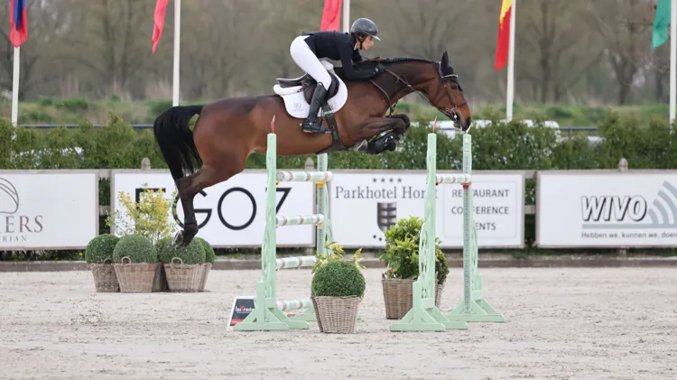 Victory Music Z triomfeert, sterke Belgische fokproducten in top acht