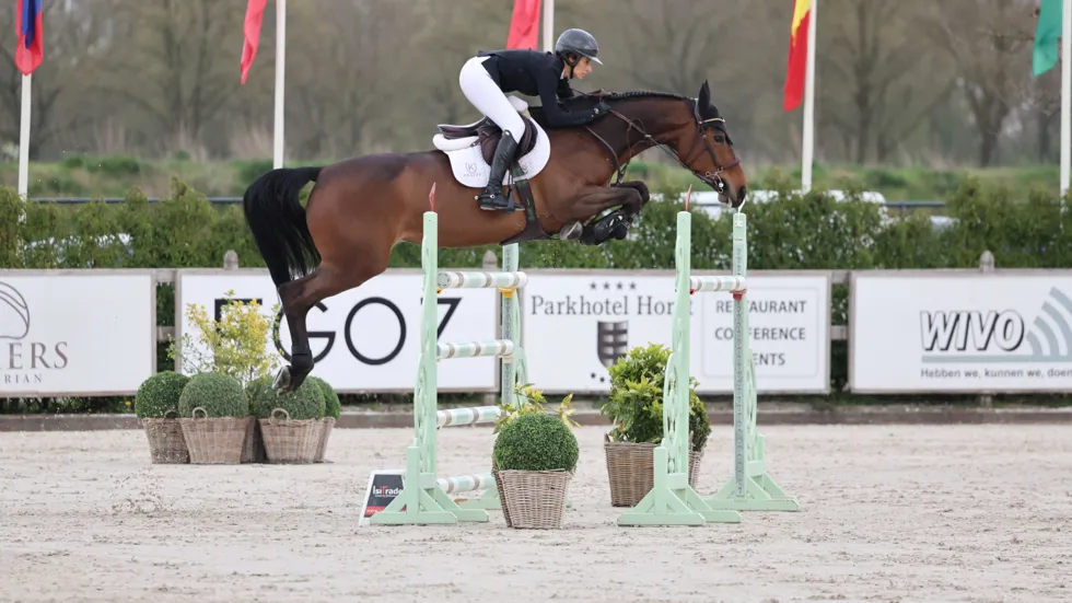 Victory Music Z triomfeert, sterke Belgische fokproducten in top acht