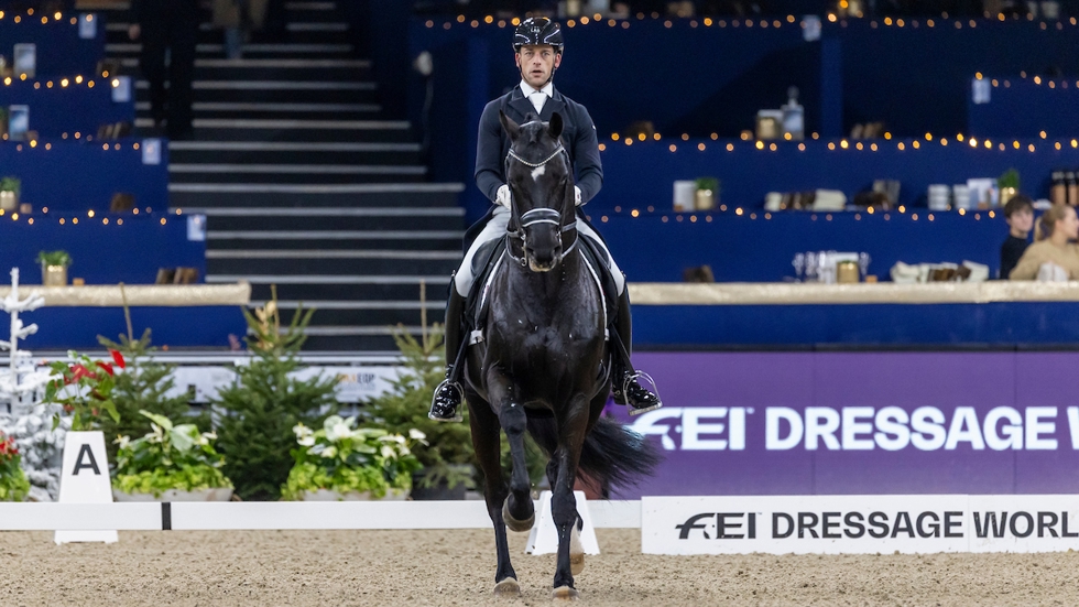 Justin Verboomen en zijn amper 8-jarige hengst Zonik Plus