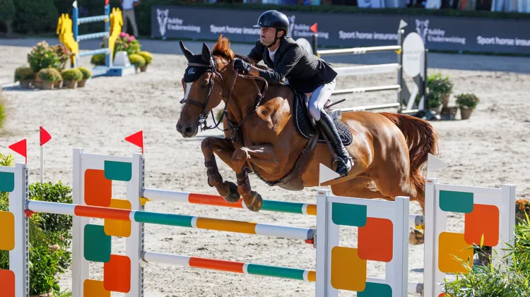 Jeroen De Winter met L'Innocence van 't Meulenhof