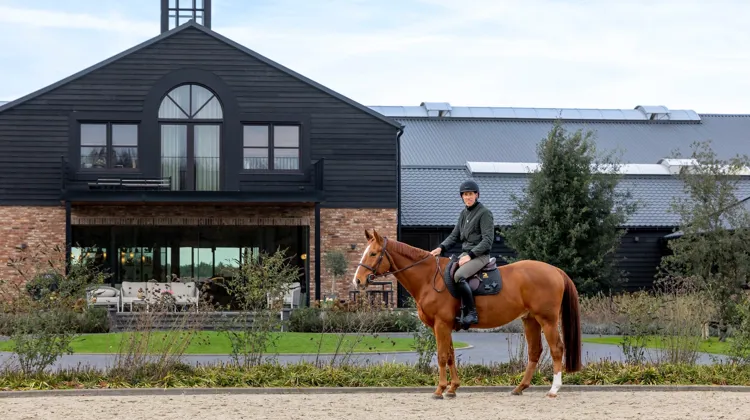 Ici sur le dos de son crack King Edward, Henrik von Eckermann vit une période de transition depuis plus d’un an.